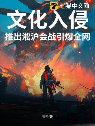 淞沪会战解读